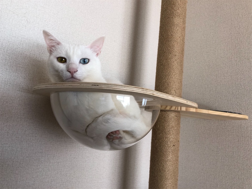 f:id:tentecoworks:20220127132024j:image f:id:tentecoworks:20220127132024j:image