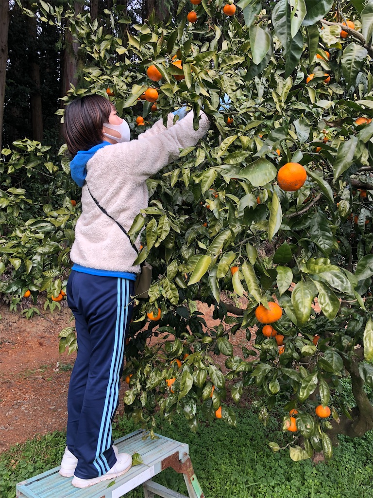 f:id:tentecoworks:20220130202227j:image