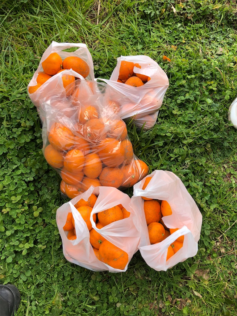 f:id:tentecoworks:20220130202238j:image