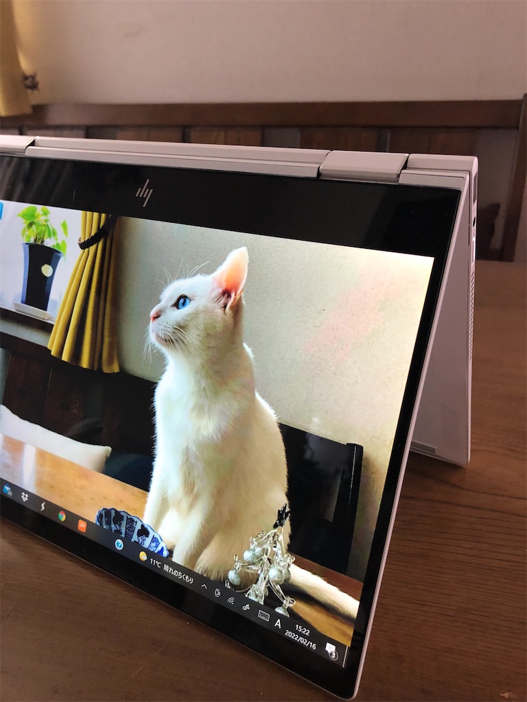 f:id:tentecoworks:20220216152350j:image f:id:tentecoworks:20220216152350j:image