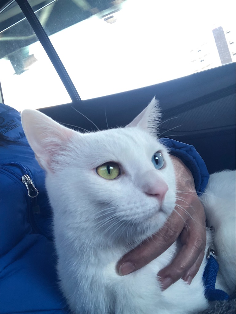 f:id:tentecoworks:20220218133135j:image f:id:tentecoworks:20220218133135j:image