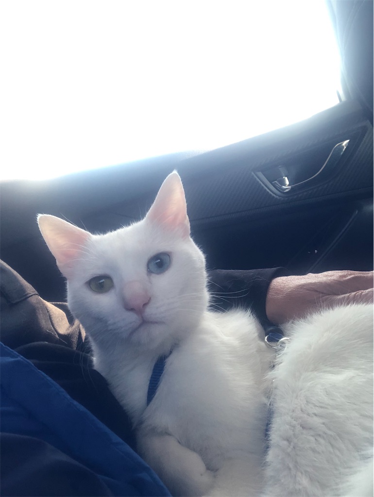 f:id:tentecoworks:20220304091232j:image f:id:tentecoworks:20220304091232j:image