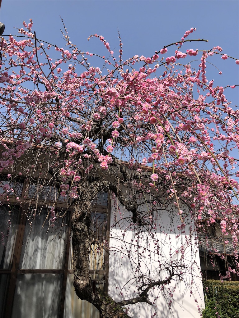 f:id:tentecoworks:20220311230611j:image