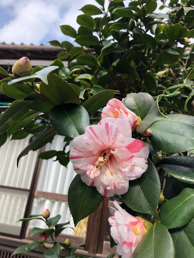 f:id:tentecoworks:20220314142803j:image f:id:tentecoworks:20220314142803j:image