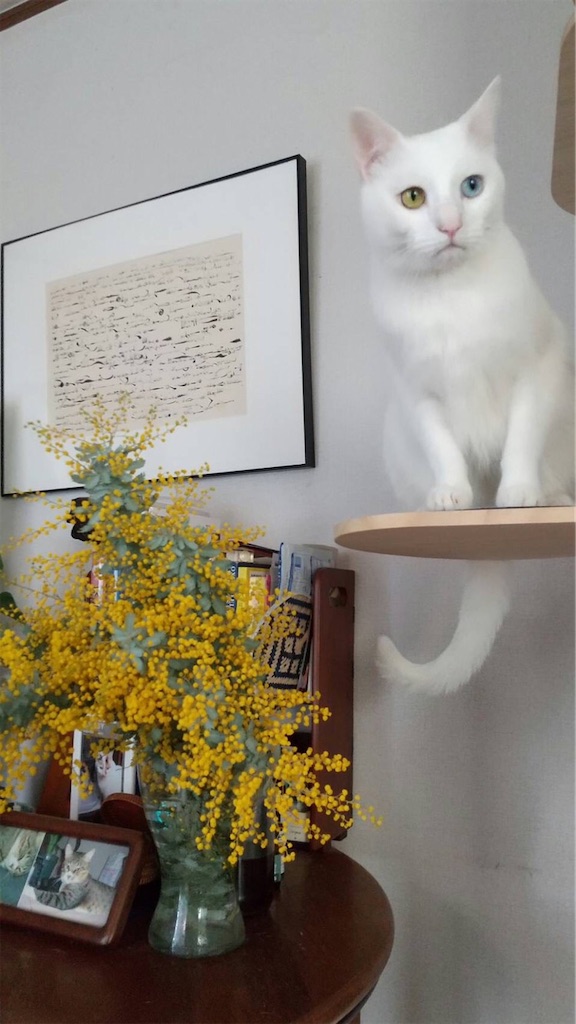 f:id:tentecoworks:20220318230824j:image f:id:tentecoworks:20220318230824j:image