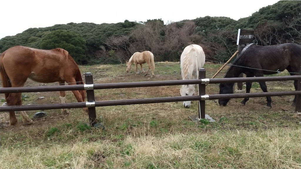 f:id:tentecoworks:20220323223818j:image