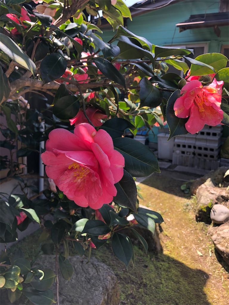 f:id:tentecoworks:20220327212103j:image f:id:tentecoworks:20220327212103j:image