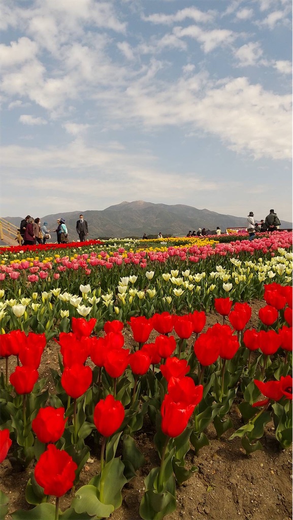 f:id:tentecoworks:20220329220346j:image