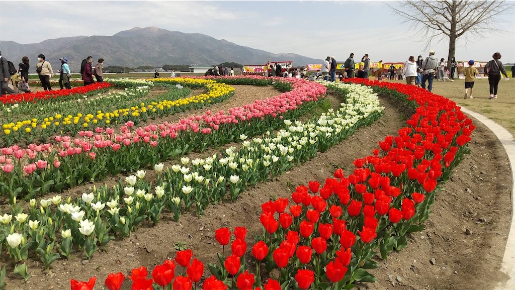 f:id:tentecoworks:20220329220415j:image