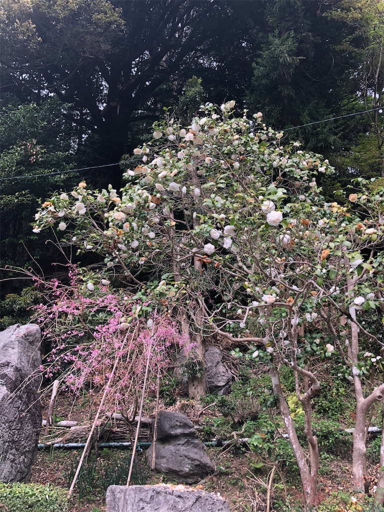 f:id:tentecoworks:20220331102905j:image f:id:tentecoworks:20220331102905j:image