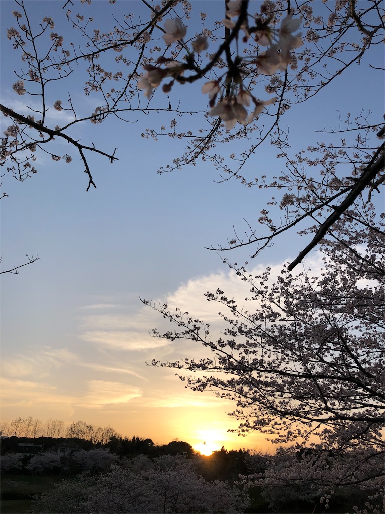 f:id:tentecoworks:20220403044220j:image f:id:tentecoworks:20220403044220j:image