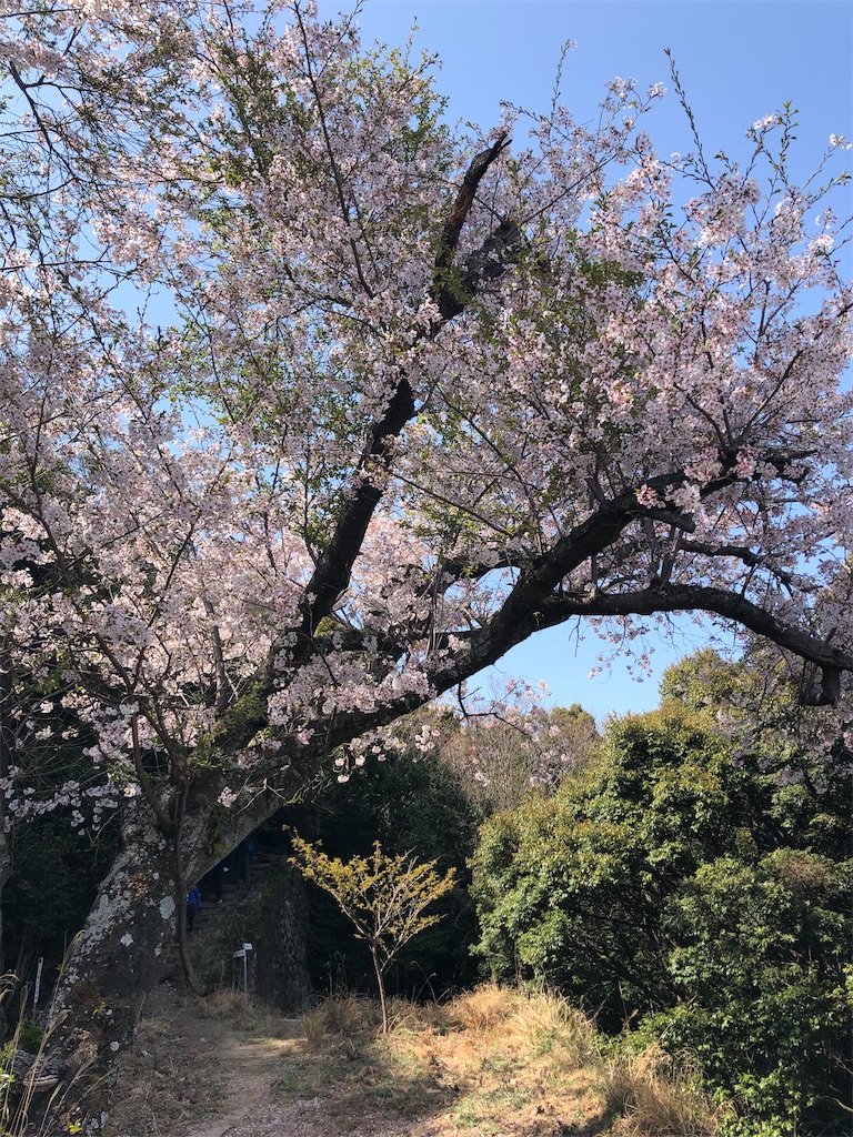 f:id:tentecoworks:20220407002225j:image f:id:tentecoworks:20220407002225j:image