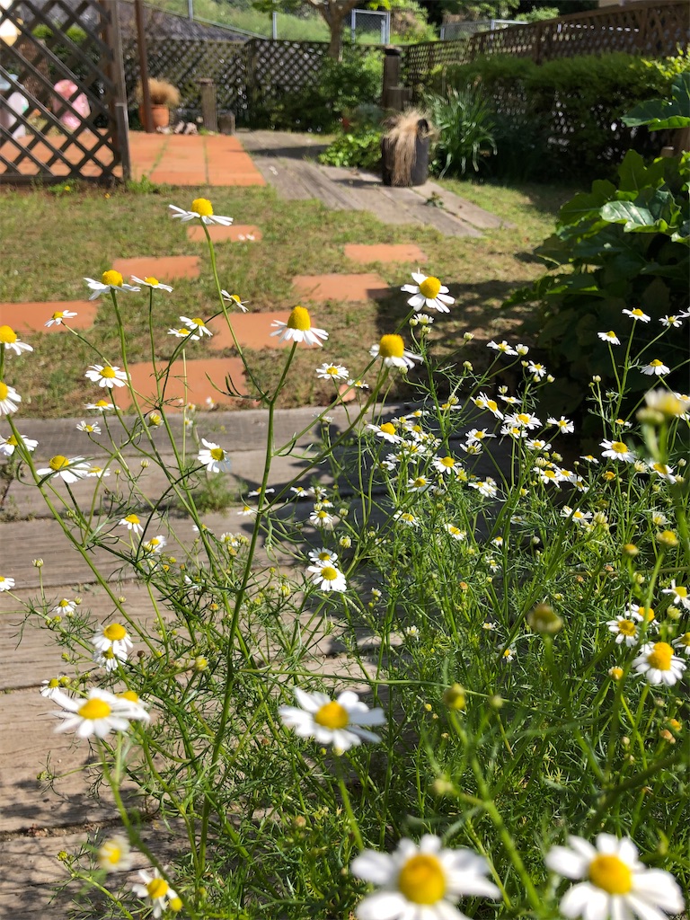 f:id:tentecoworks:20220417151556j:image f:id:tentecoworks:20220417151556j:image