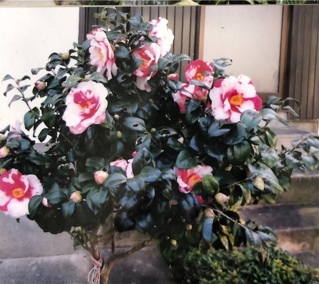 f:id:tentecoworks:20220501173034j:image