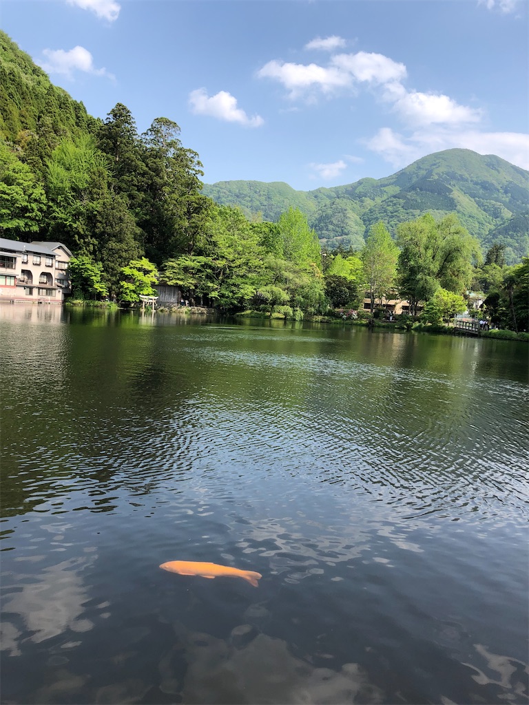 f:id:tentecoworks:20220502225005j:image f:id:tentecoworks:20220502225005j:image