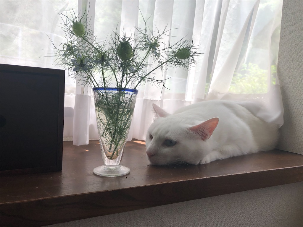 f:id:tentecoworks:20220528235028j:image f:id:tentecoworks:20220528235028j:image