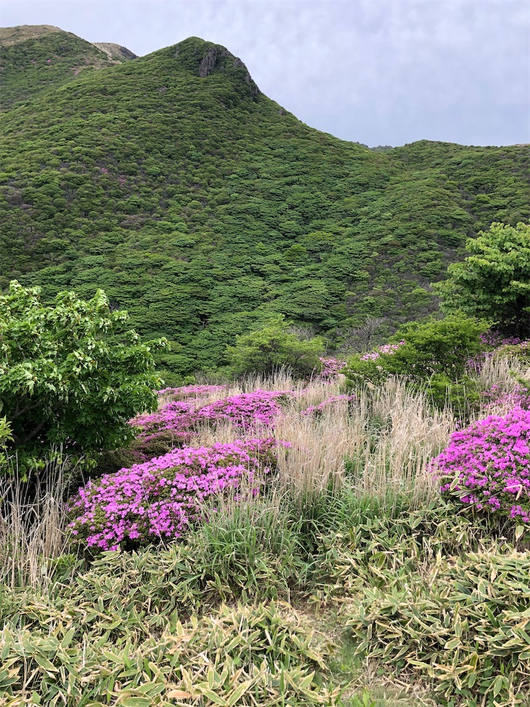 f:id:tentecoworks:20220602220130j:image f:id:tentecoworks:20220602220130j:image