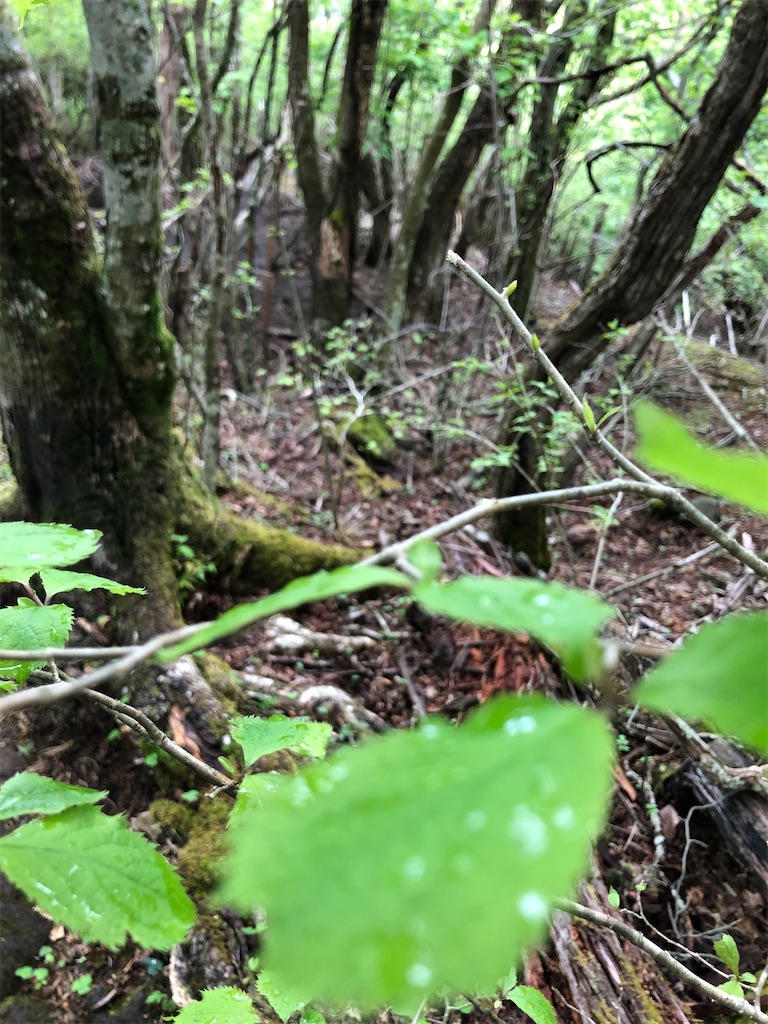 f:id:tentecoworks:20220602220140j:image f:id:tentecoworks:20220602220140j:image