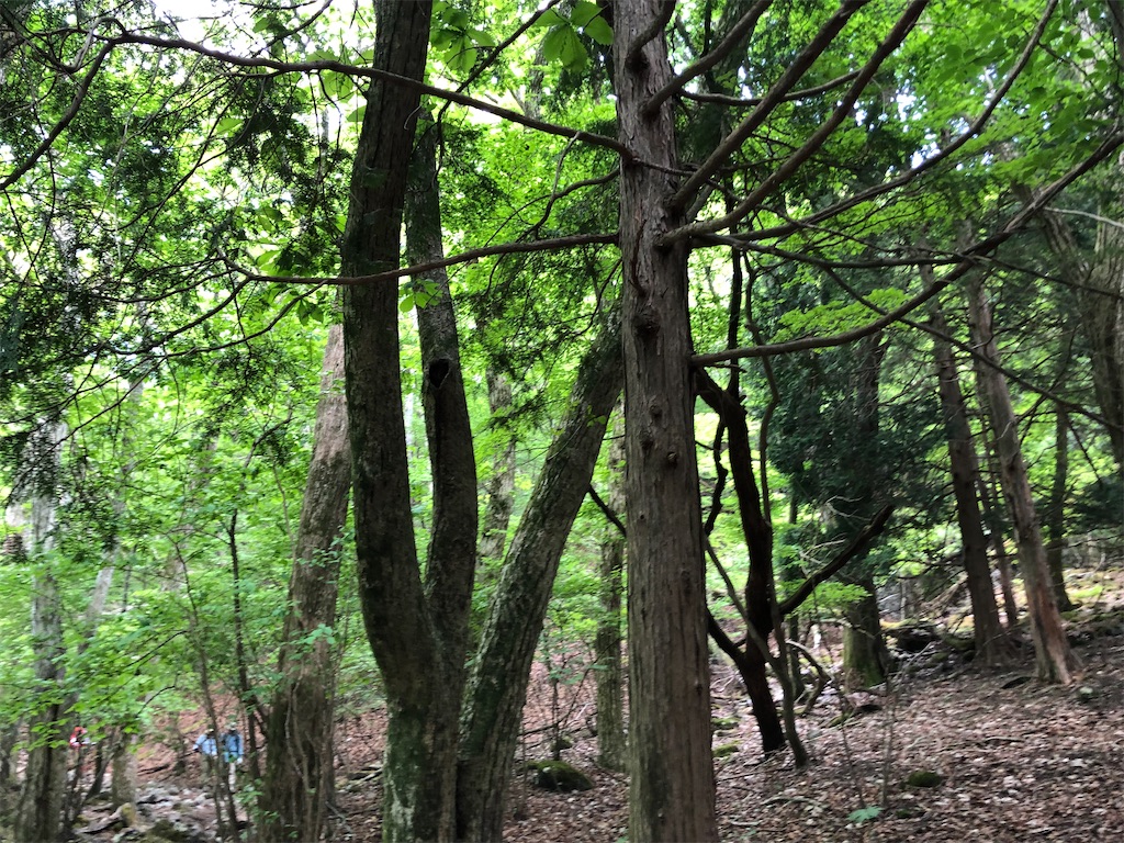 f:id:tentecoworks:20220602220148j:image f:id:tentecoworks:20220602220148j:image