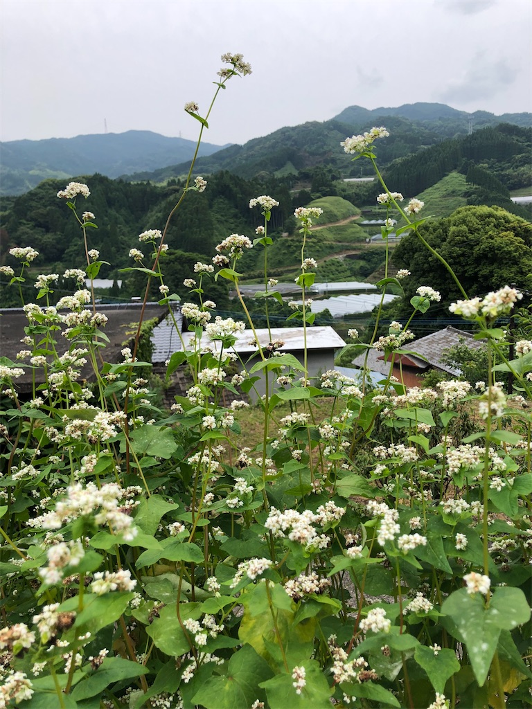 f:id:tentecoworks:20220612232818j:image f:id:tentecoworks:20220612232818j:image