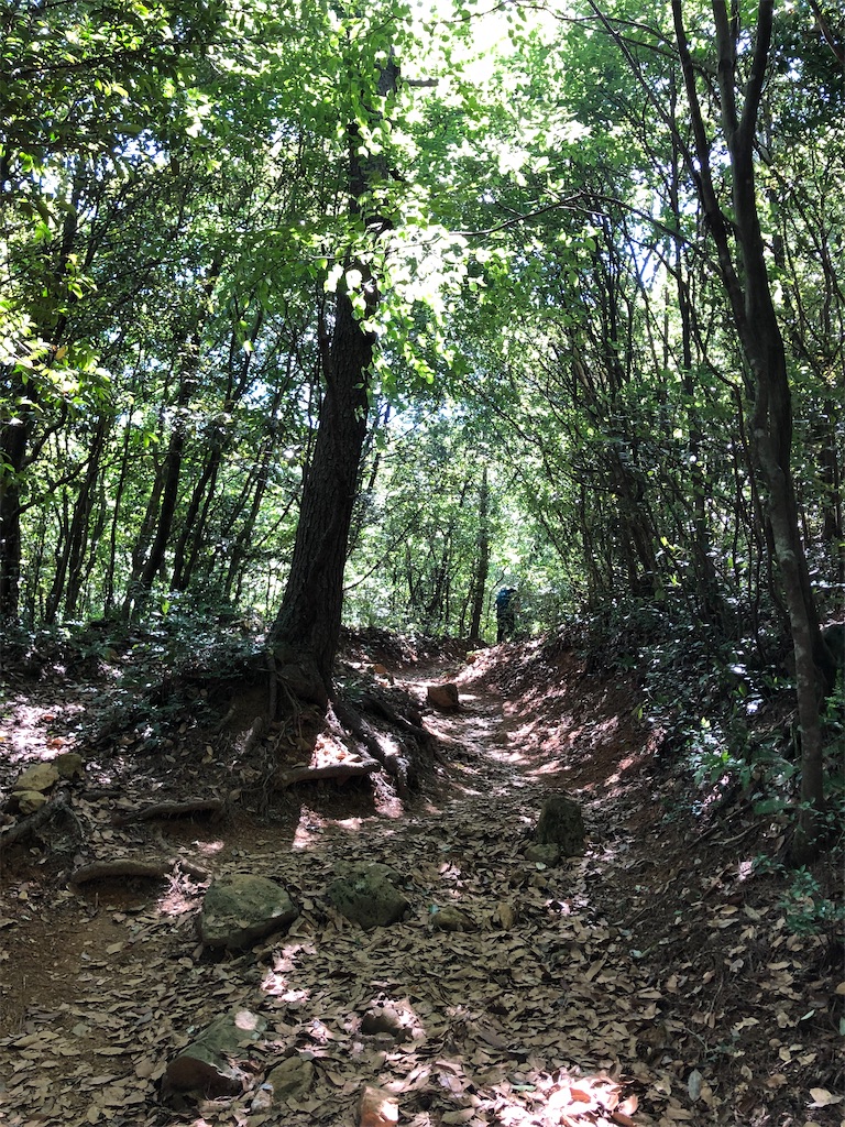 f:id:tentecoworks:20220703215322j:image