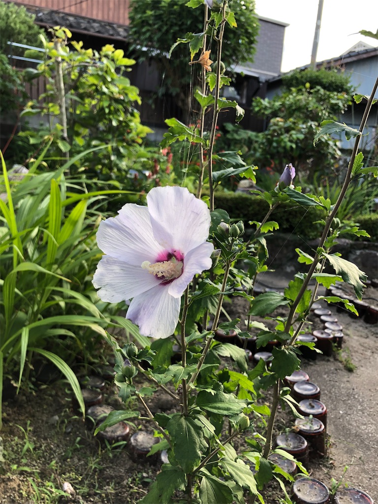 f:id:tentecoworks:20220710141057j:image f:id:tentecoworks:20220710141057j:image