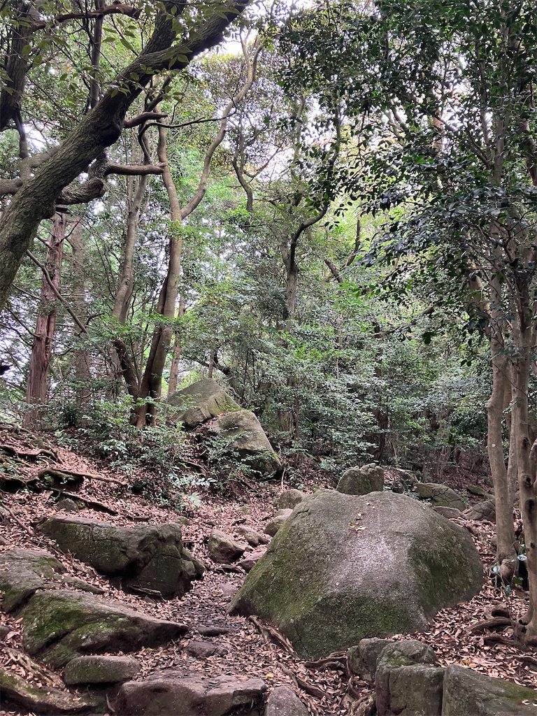 f:id:tentecoworks:20220719041810j:image