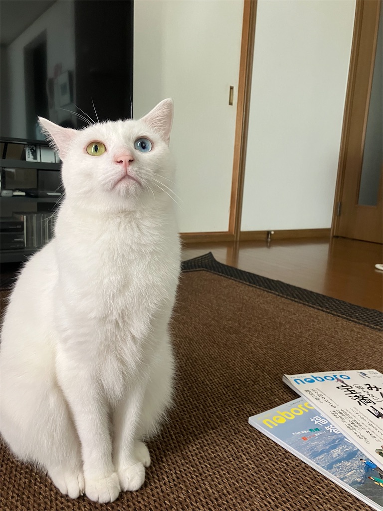 f:id:tentecoworks:20220721185132j:image f:id:tentecoworks:20220721185132j:image