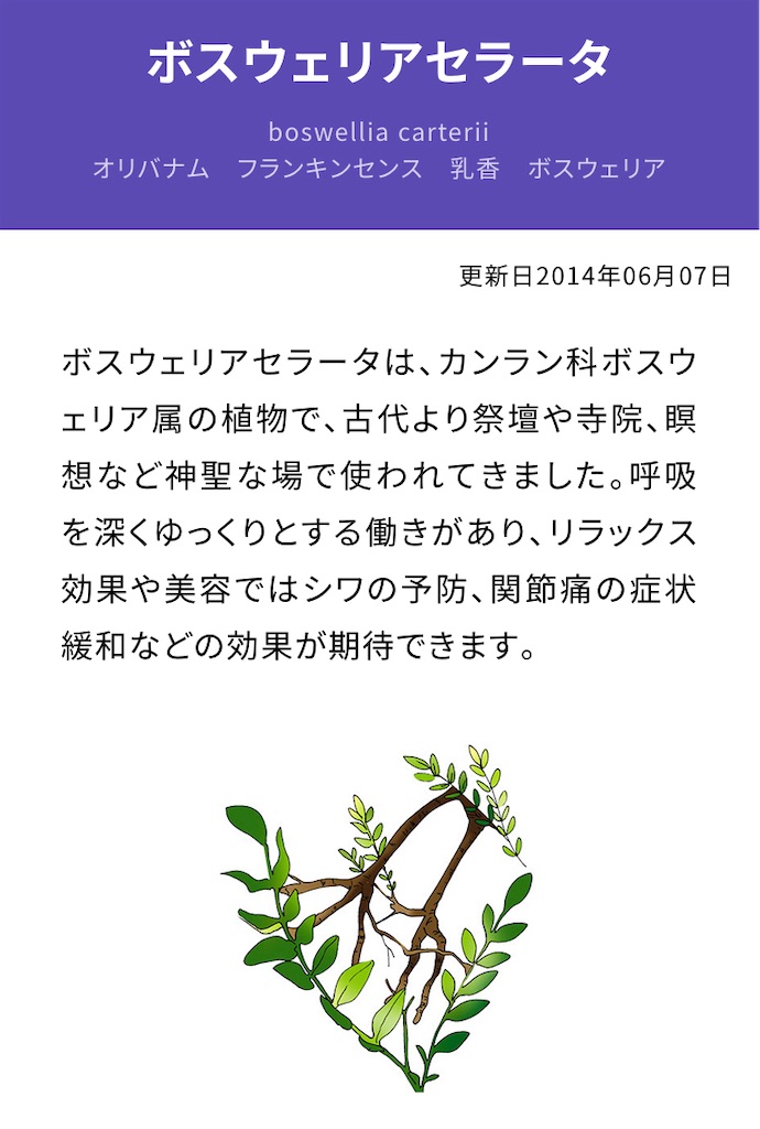 f:id:tentecoworks:20220723234952j:image