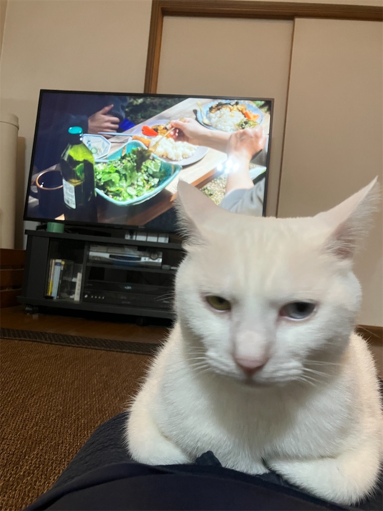 f:id:tentecoworks:20220803121153j:image