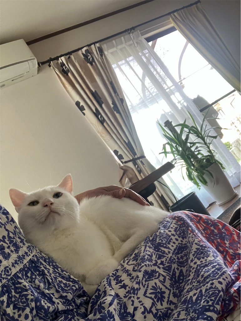 f:id:tentecoworks:20220811083117j:image f:id:tentecoworks:20220811083117j:image