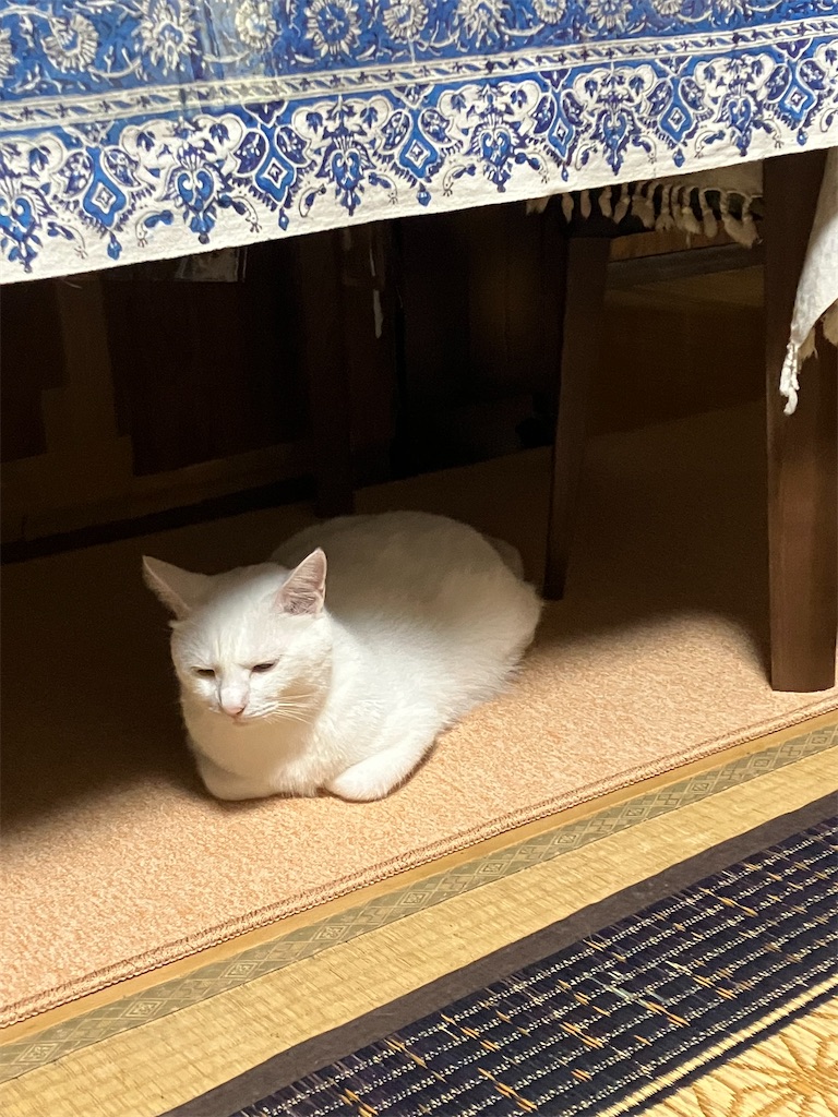 f:id:tentecoworks:20220814205033j:image