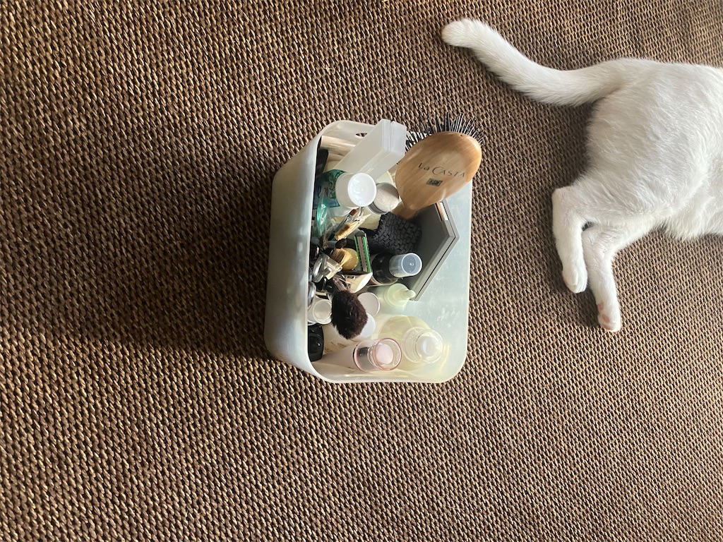 f:id:tentecoworks:20220818180507j:image