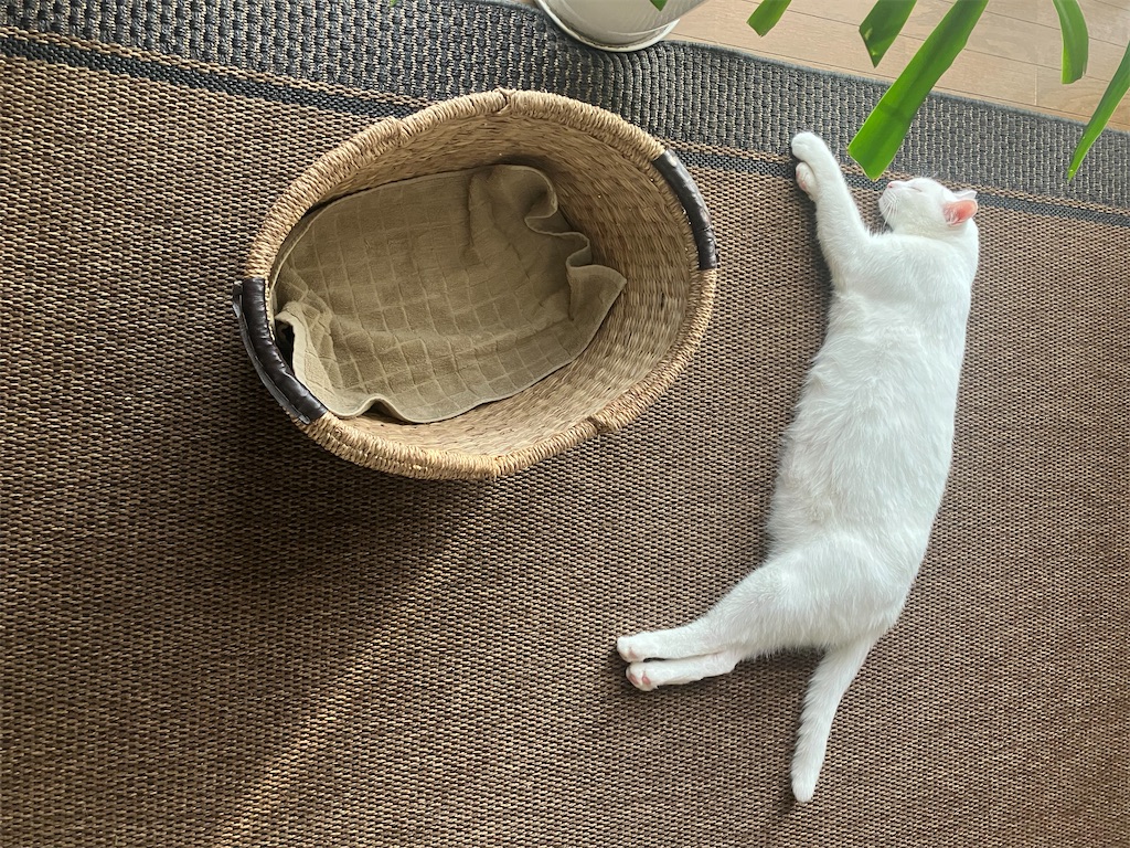 f:id:tentecoworks:20220818181257j:image