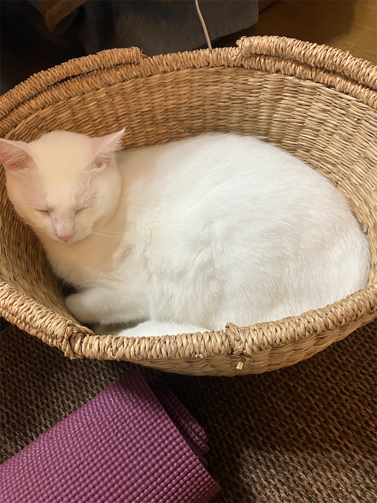 f:id:tentecoworks:20220819235813j:image f:id:tentecoworks:20220819235813j:image