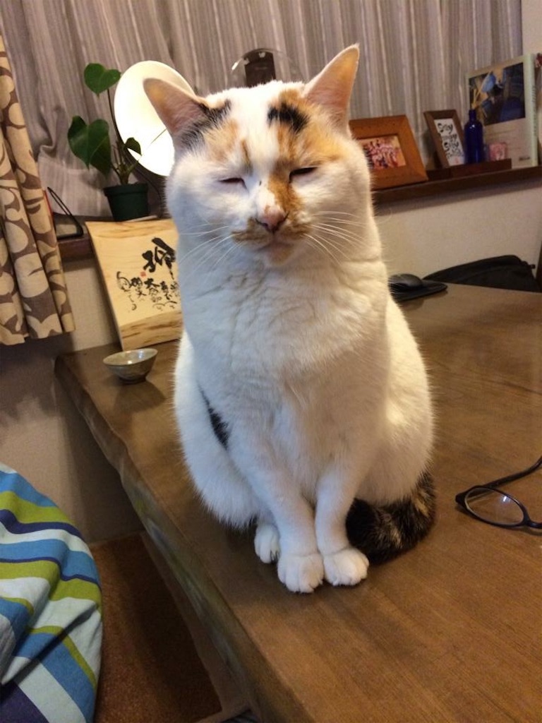 f:id:tentecoworks:20220824135127j:image f:id:tentecoworks:20220824135127j:image