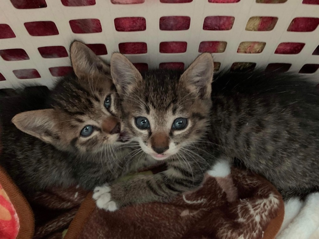 f:id:tentecoworks:20221120220859j:image f:id:tentecoworks:20221120220859j:image