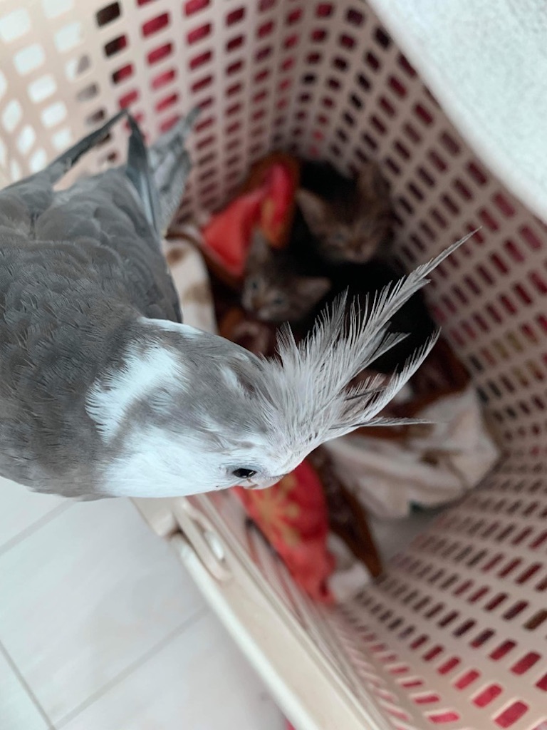 f:id:tentecoworks:20221120220902j:image f:id:tentecoworks:20221120220902j:image