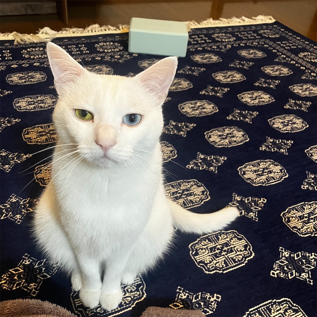 f:id:tentecoworks:20221204063150j:image f:id:tentecoworks:20221204063150j:image