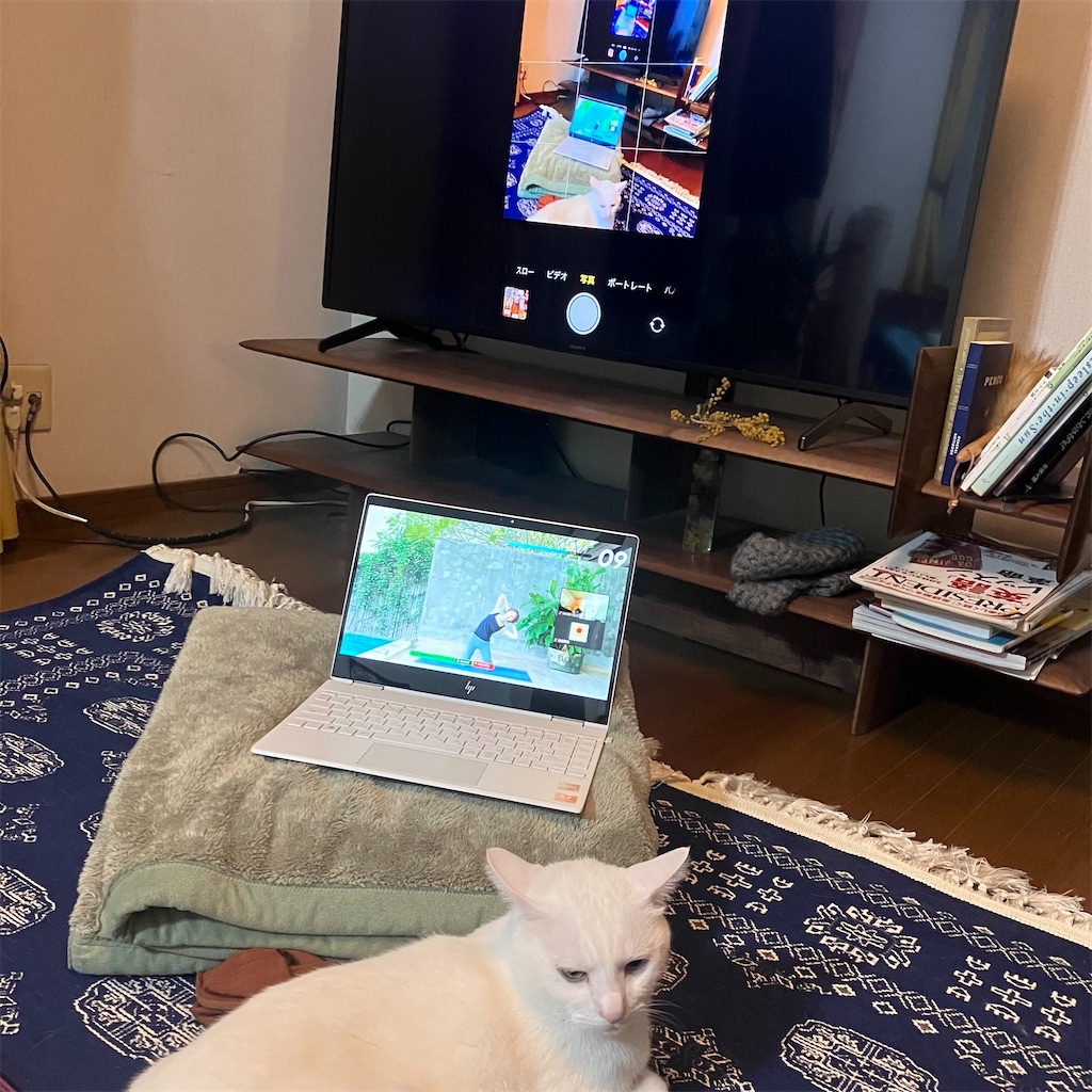 f:id:tentecoworks:20230415231200j:image f:id:tentecoworks:20230415231200j:image