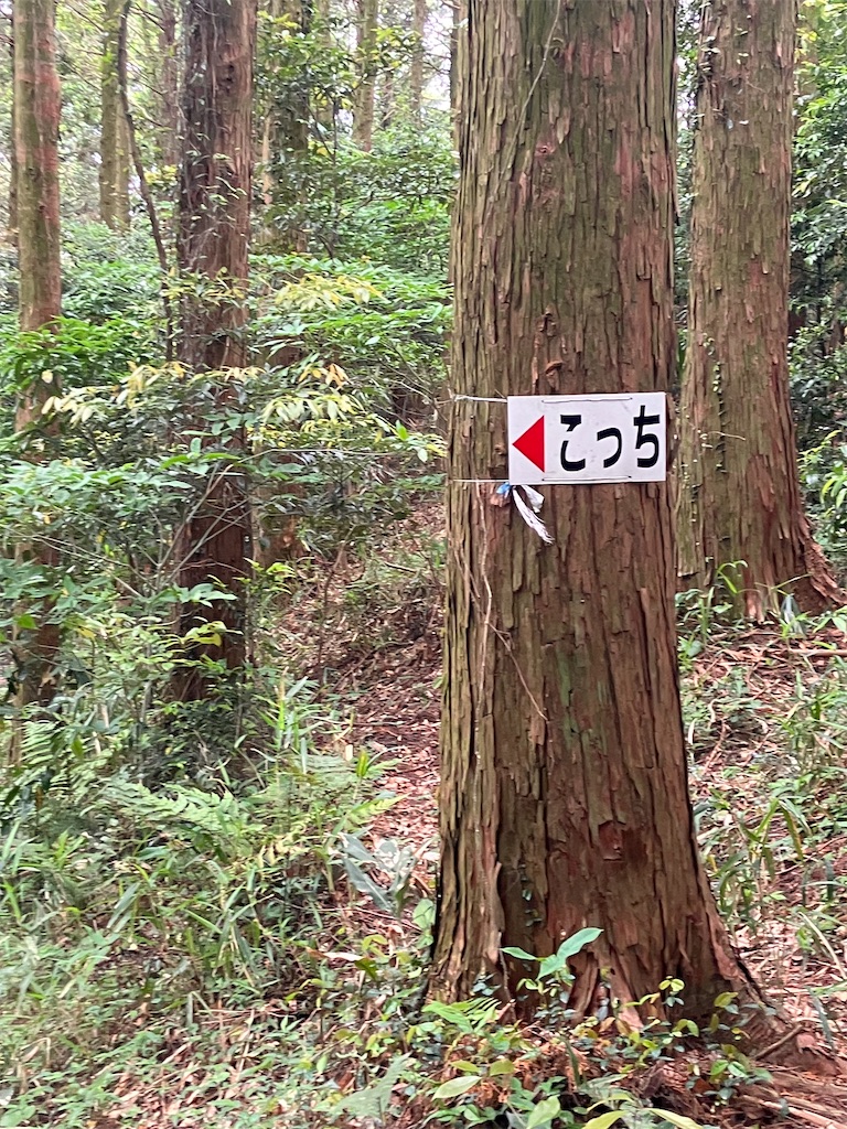 f:id:tentecoworks:20230602165420j:image