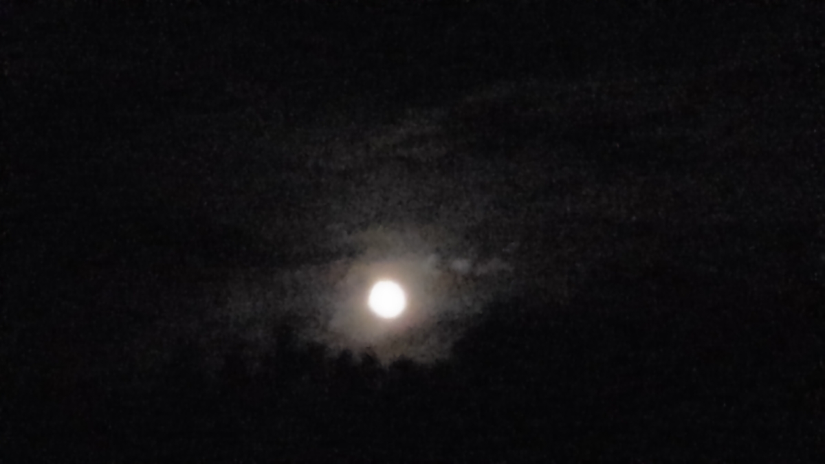 f:id:tentendx:20190703130324j:plain f:id:tentendx:20190703130324j:plain
