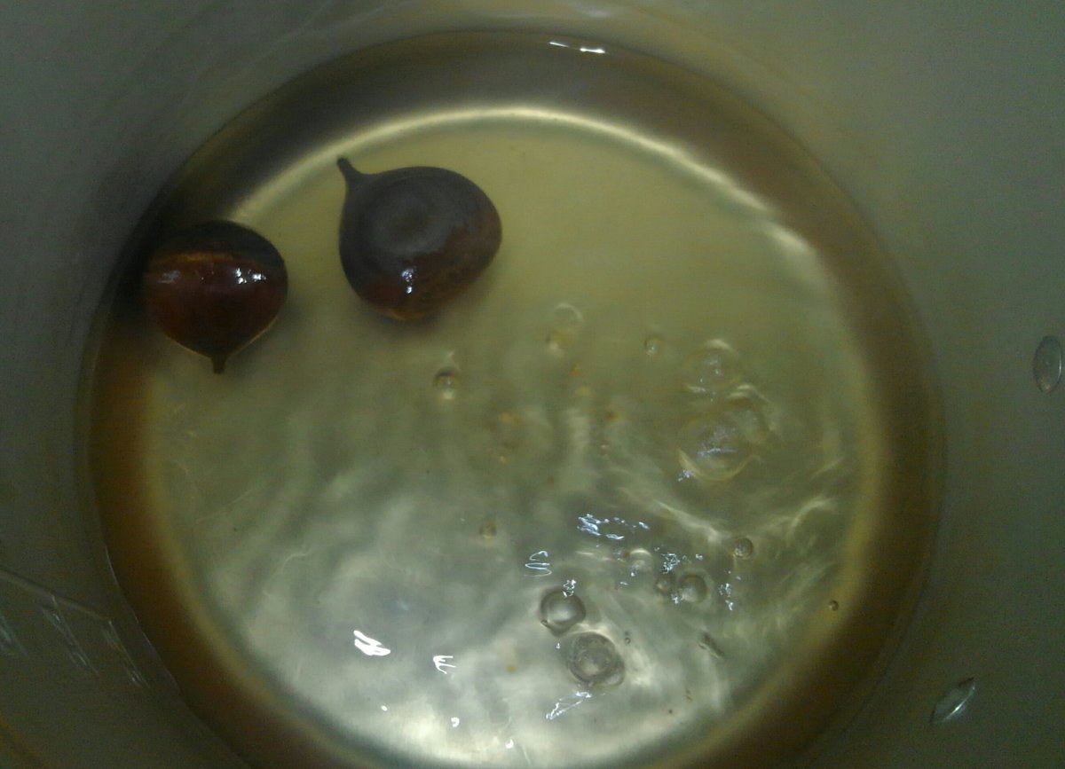 f:id:tentendx:20190703152908j:plain f:id:tentendx:20190703152908j:plain