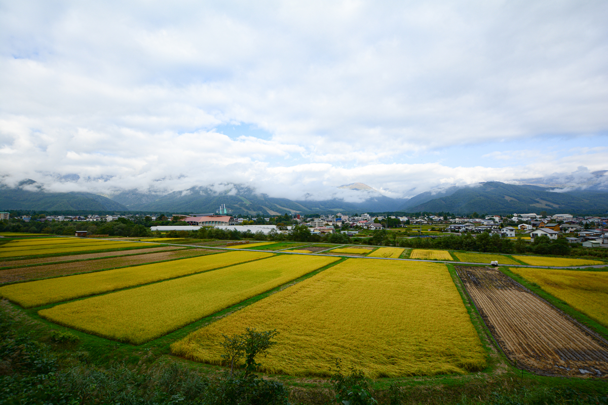 f:id:tentendx:20190914124350j:plain f:id:tentendx:20190914124350j:plain