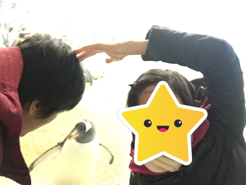 f:id:tententomokomoko:20210305161416j:plain