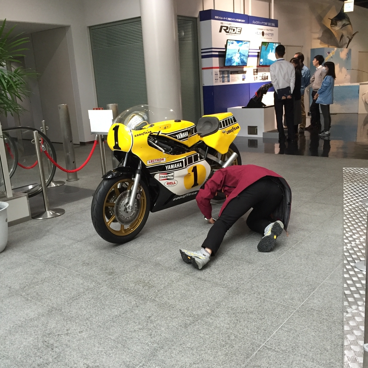 f:id:tententomokomoko:20210305162332j:plain