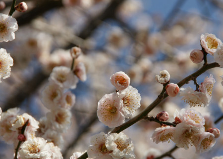 f:id:tenti:20100327101133j:image f:id:tenti:20100327101133j:image