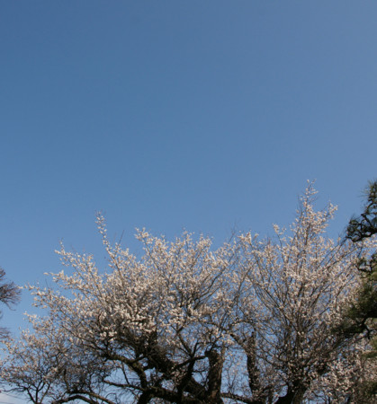 f:id:tenti:20100327101442j:image f:id:tenti:20100327101442j:image