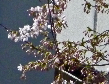 f:id:tenti:20100410164514j:image:w110