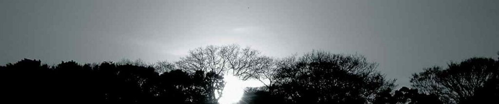 f:id:tentofour:20101210161107j:plain f:id:tentofour:20101210161107j:plain